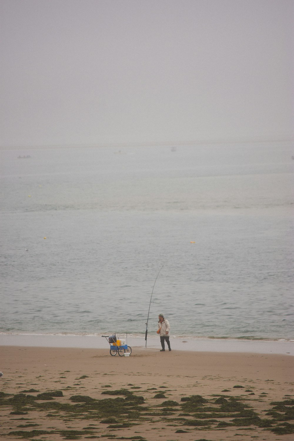 a man standing on top of a sandy beach next to the ocean