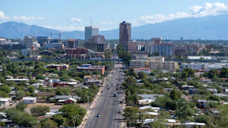 a view of a city with mountains in the background