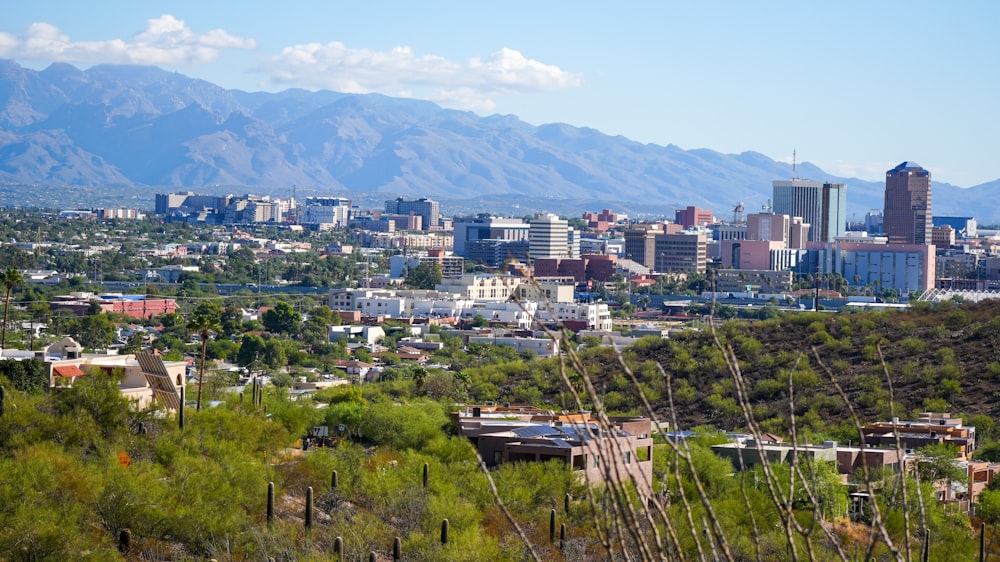 a view of a city with mountains in the background