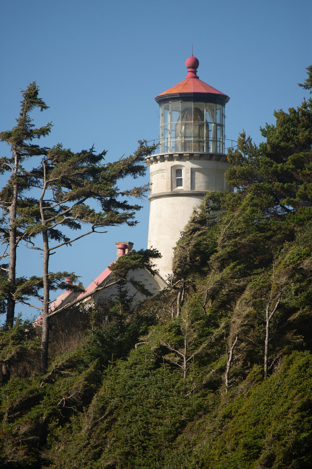 a light house on top of a hill surrounded by trees