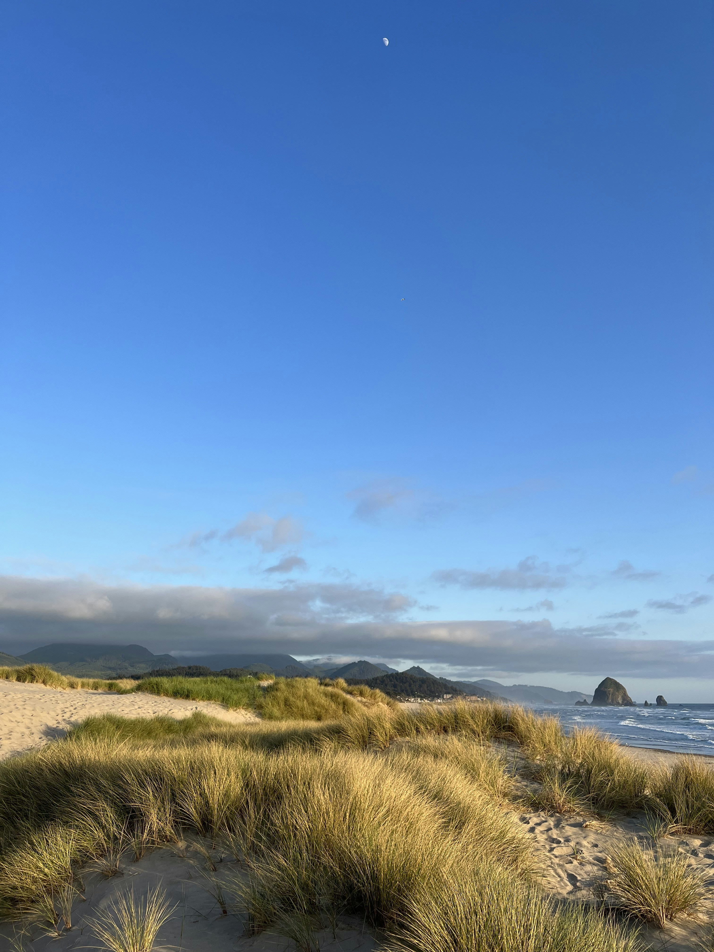 Photo by samkushnerchuk