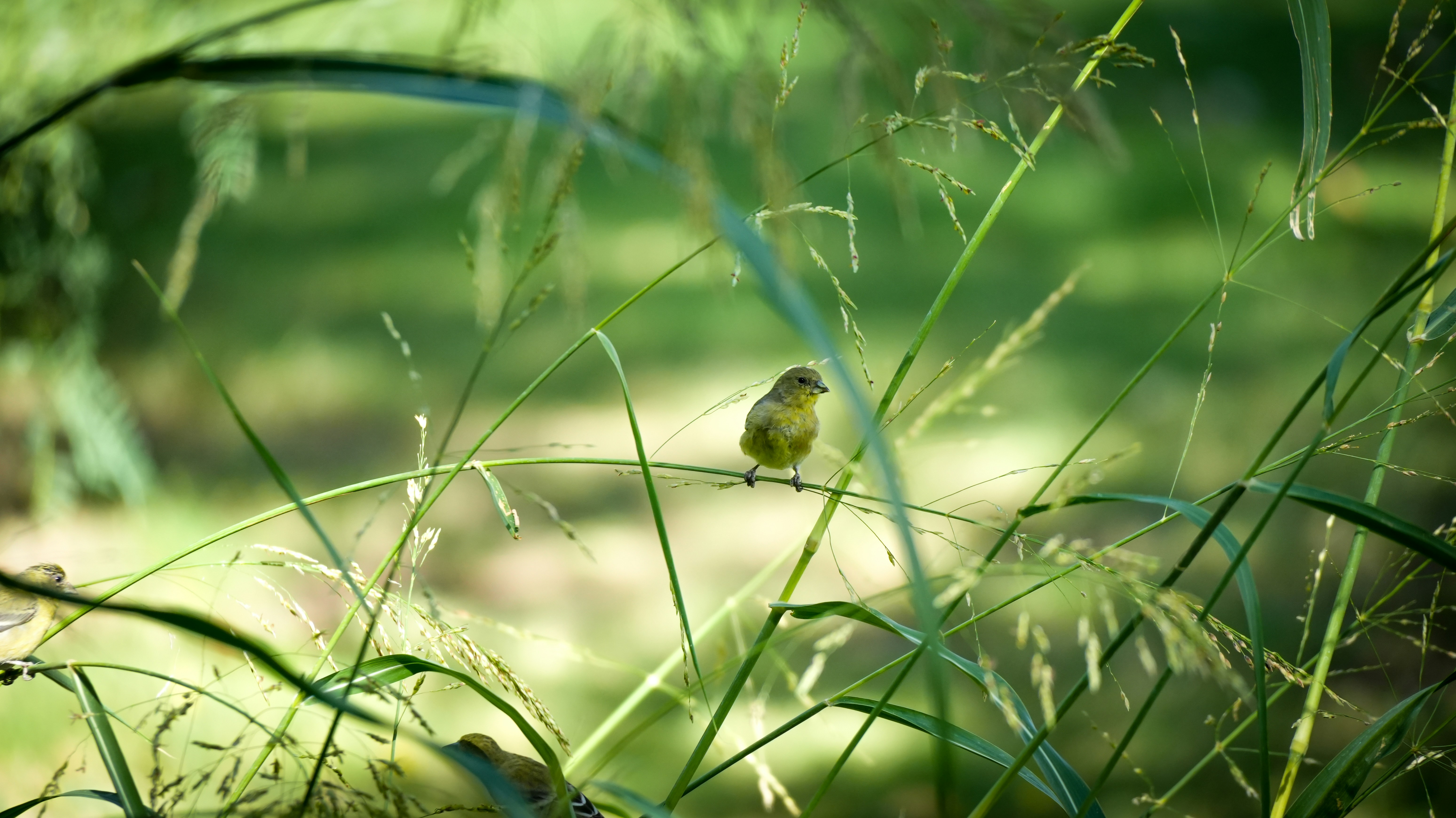 Photo by jcnonstop87