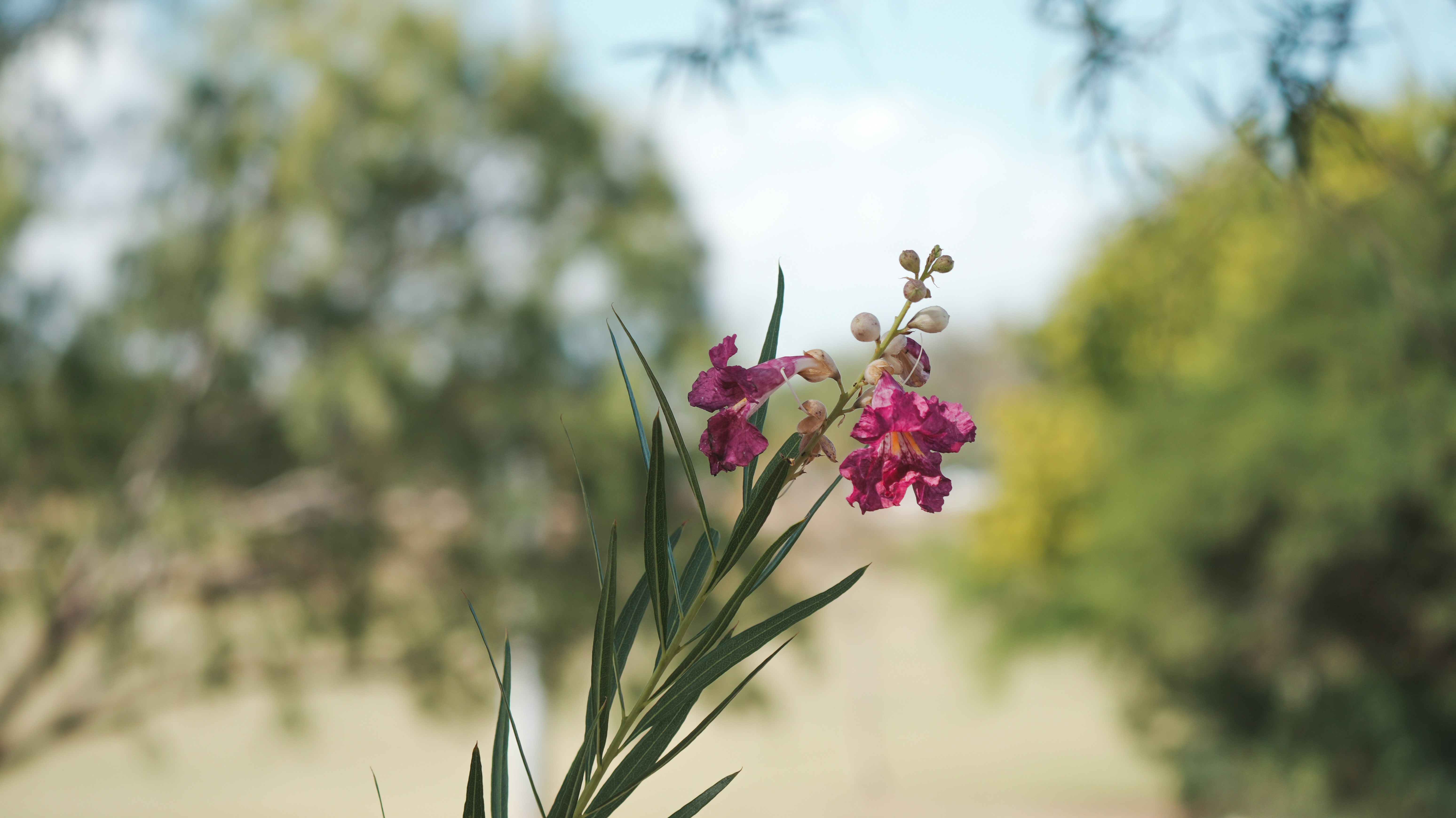 Photo by jcnonstop87