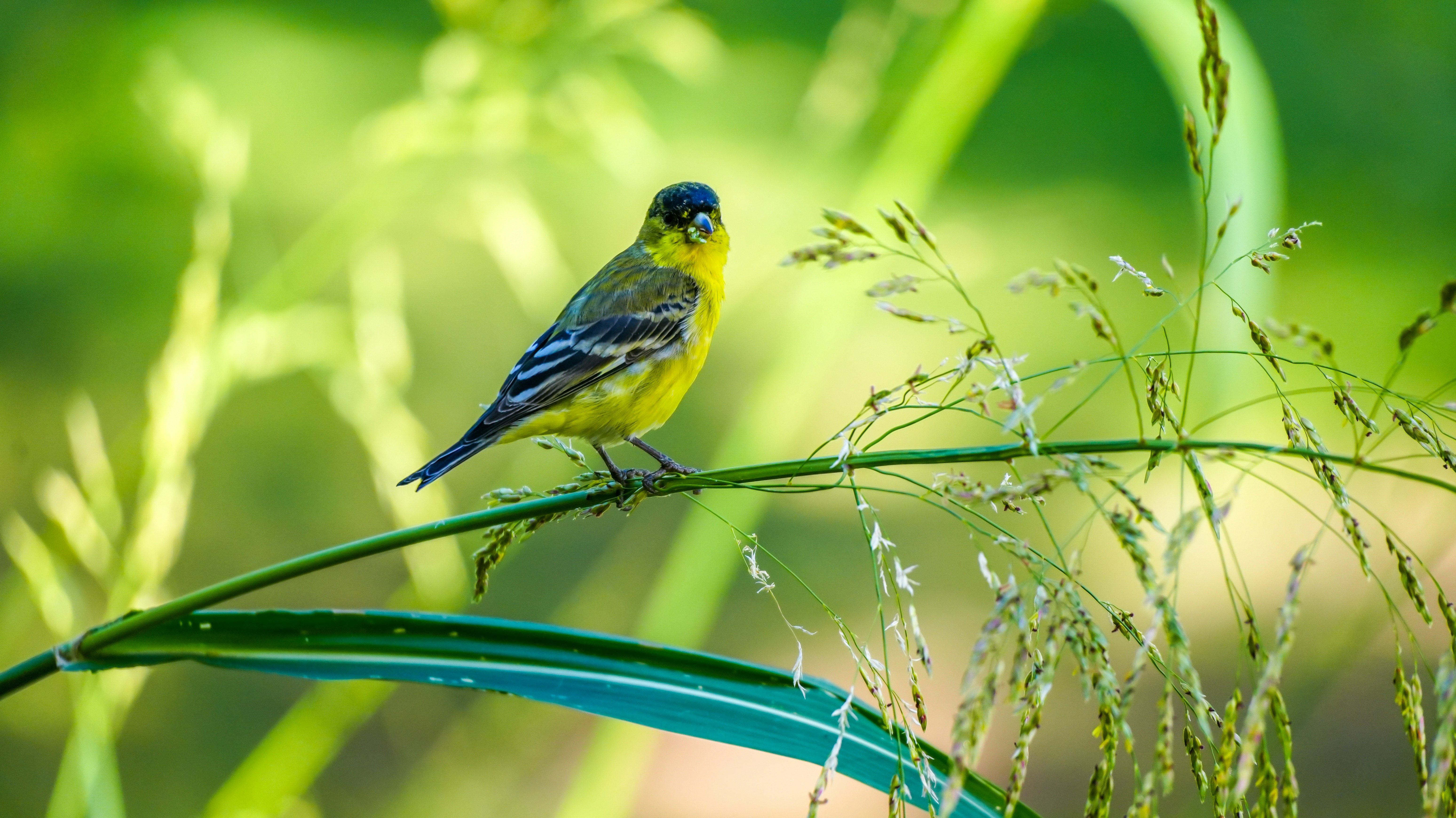 Photo by jcnonstop87