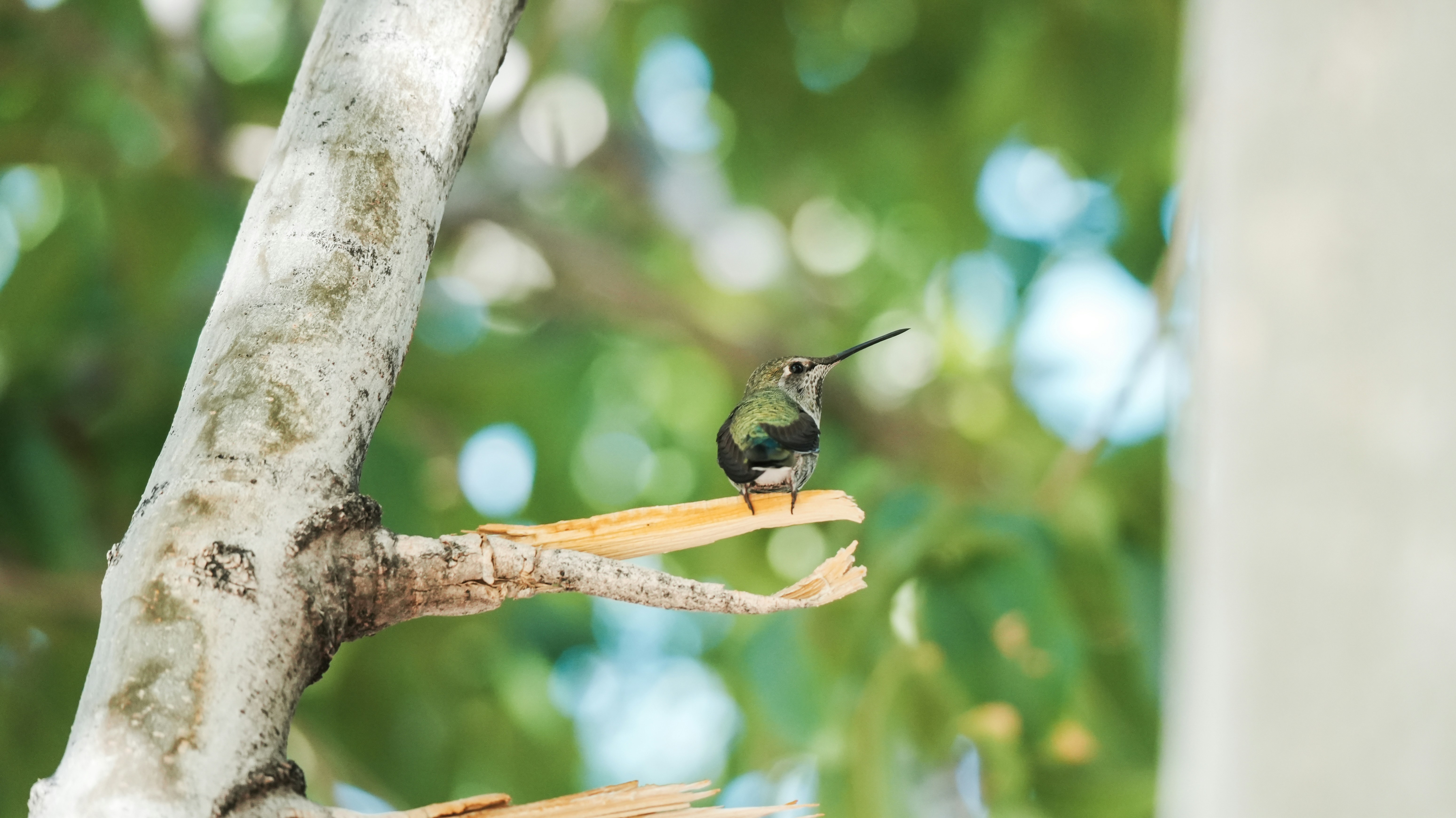 Photo by jcnonstop87