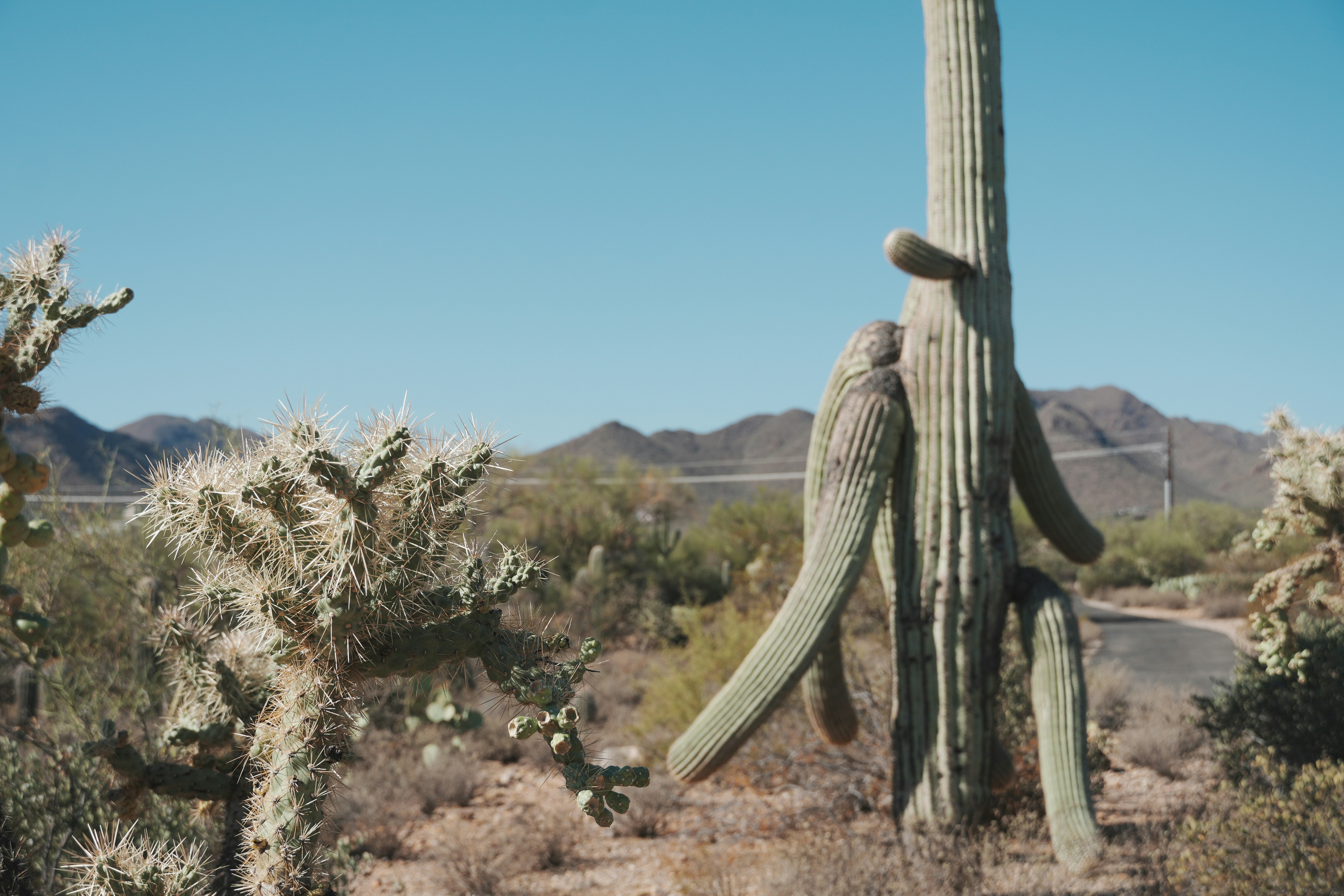 Photo by jcnonstop87