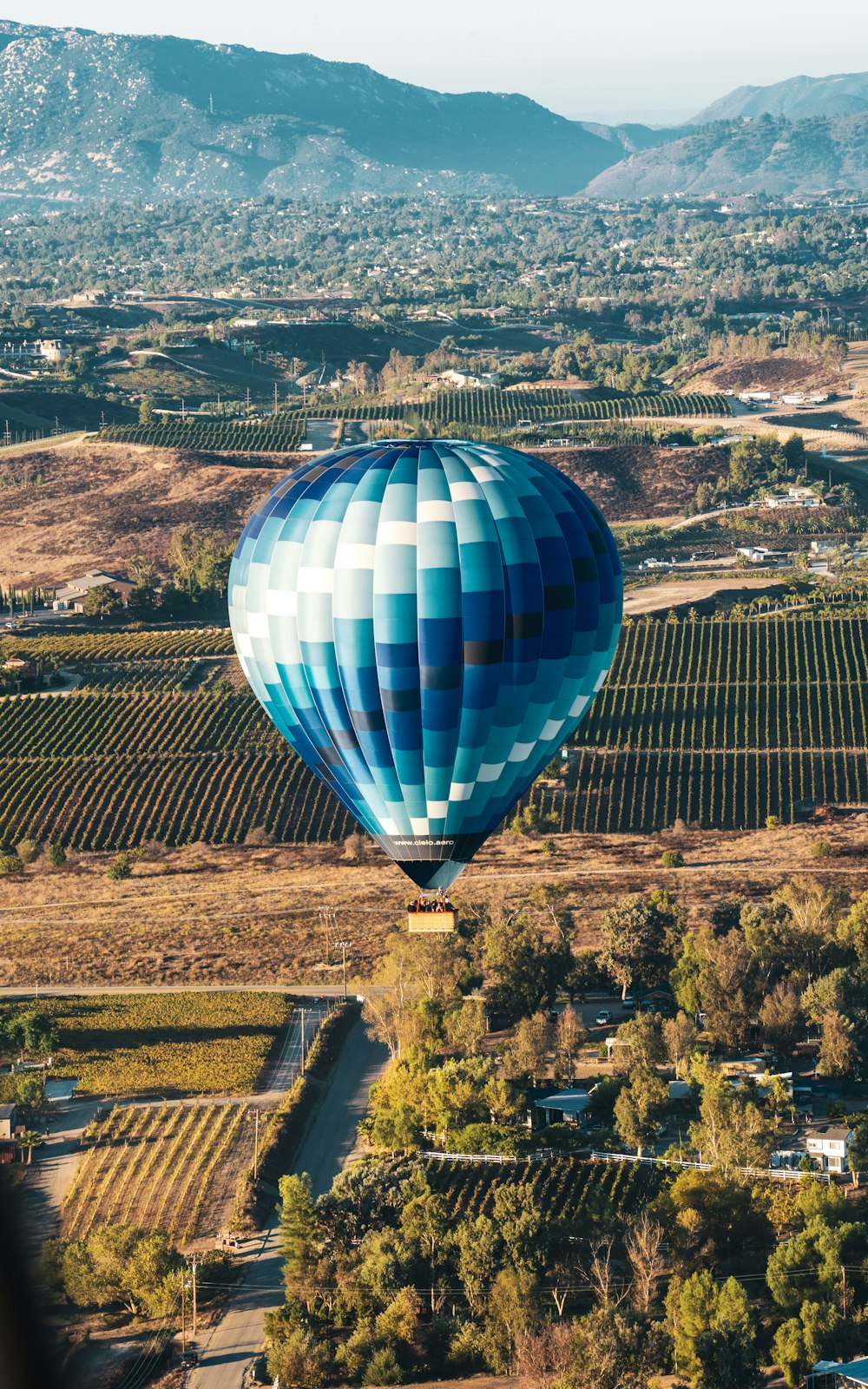 a hot air balloon flying over a vineyard