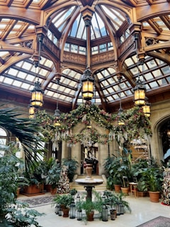 the inside of a building with a lot of potted plants