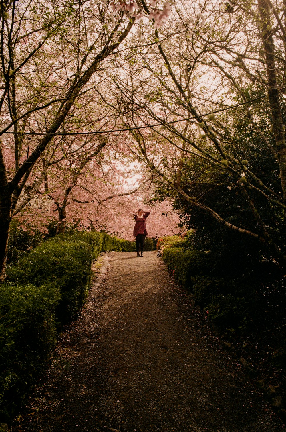 a person walking down a path with trees in the background