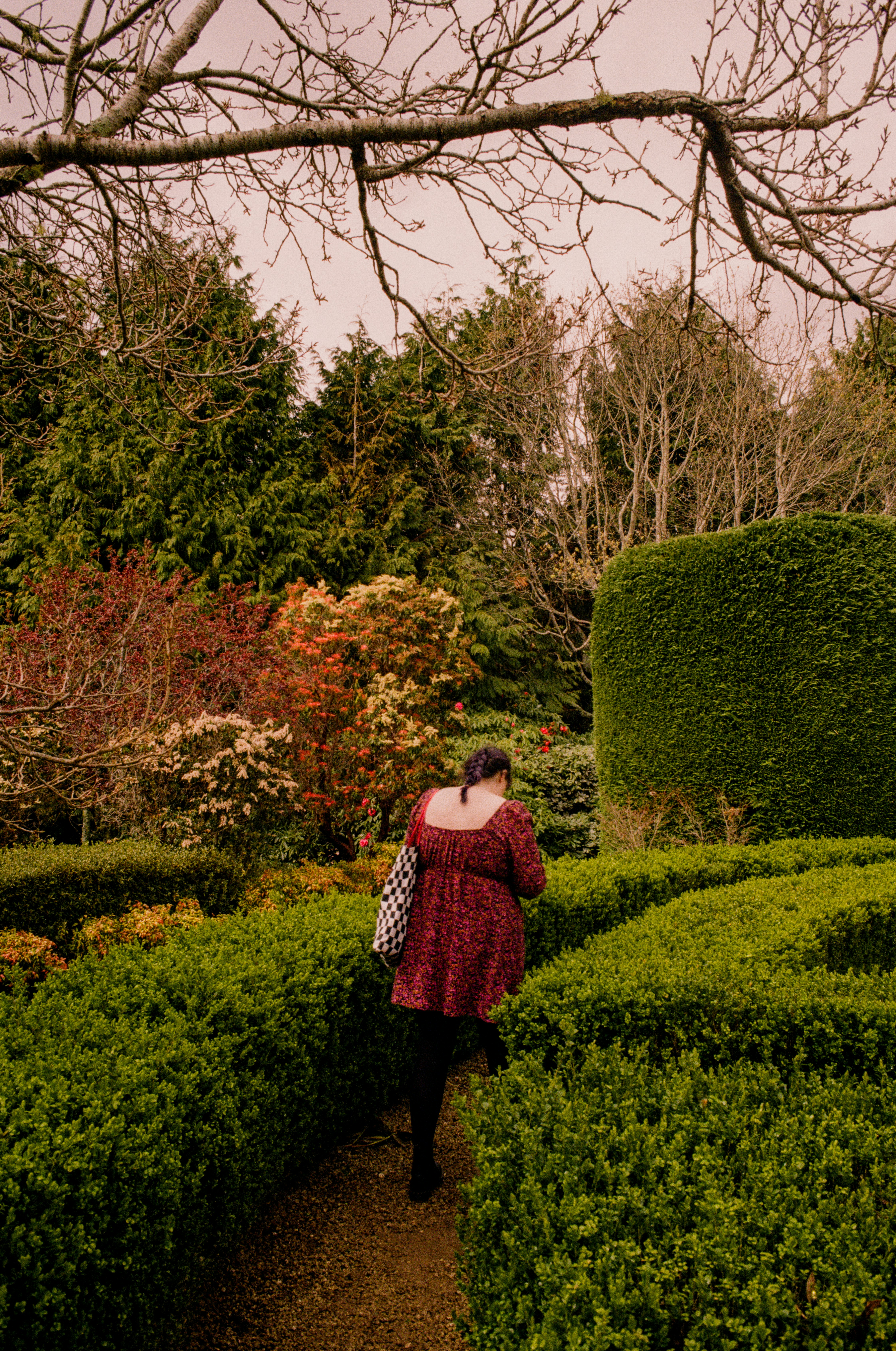 A woman in a red dress walking through a garden photo – Free Upper hutt ...