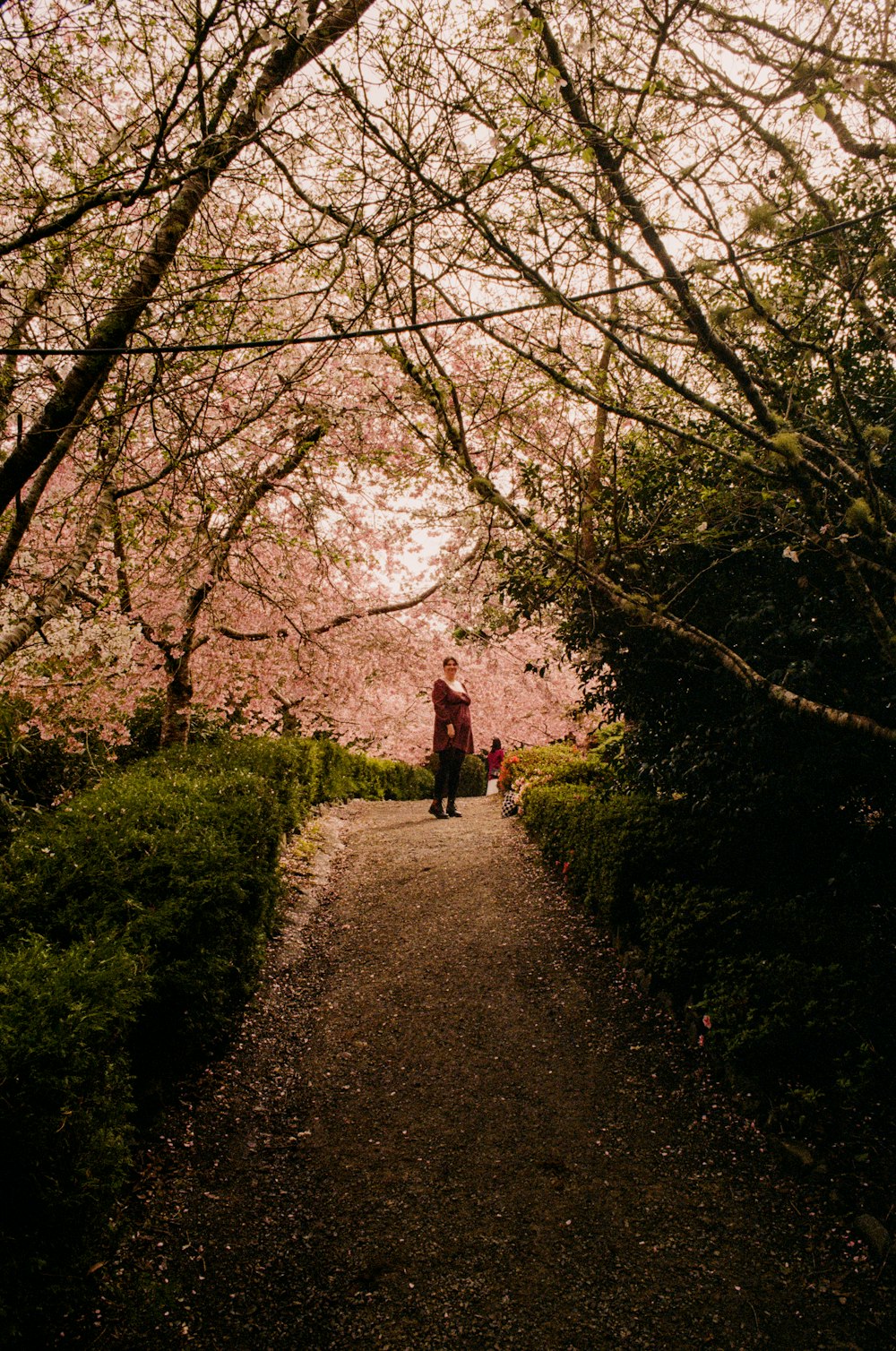 a man and a child are walking down a path