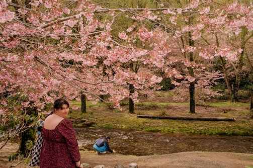 A serene outdoor scene featuring a woman in a flowing white dress strolling under blooming cherry blossoms.