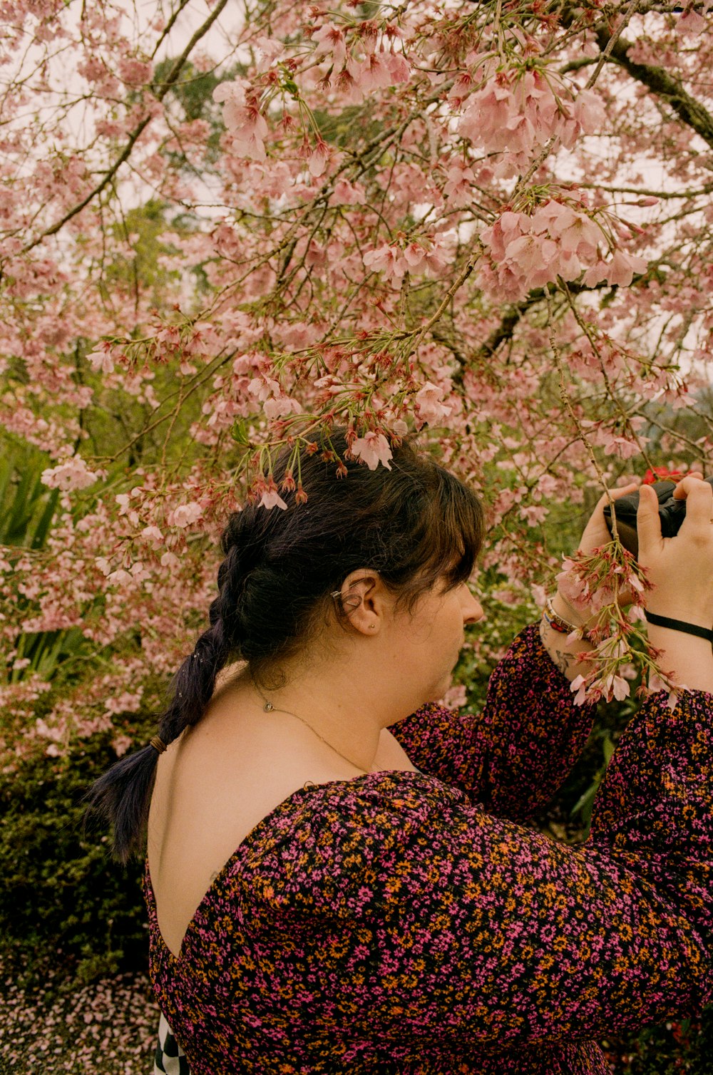 a woman taking a picture of a tree with a camera