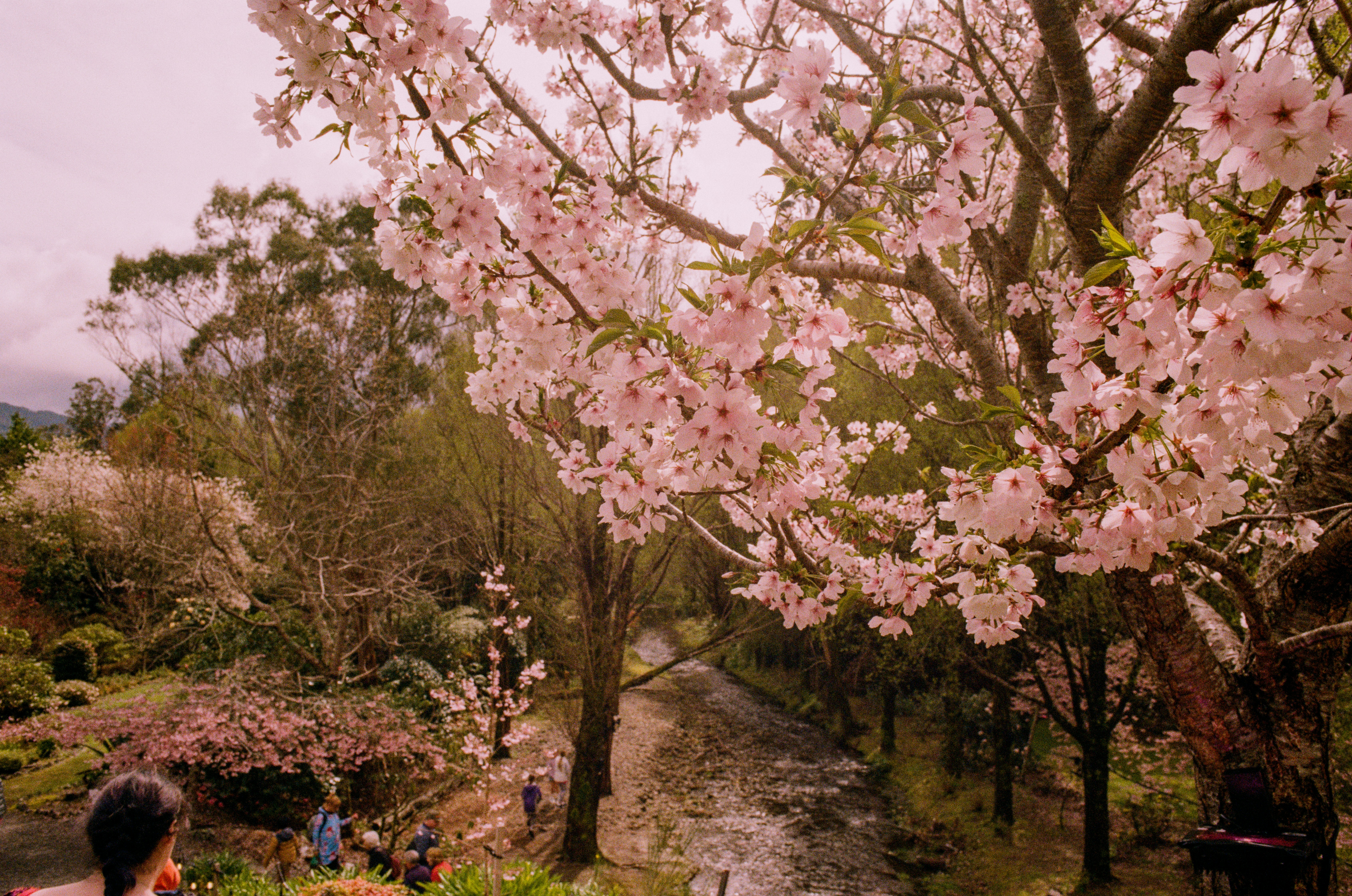 A group of people standing next to a river photo – Free Upper hutt ...