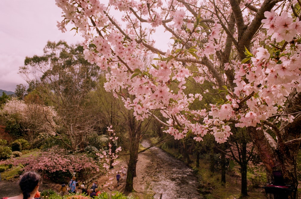 a group of people standing next to a river