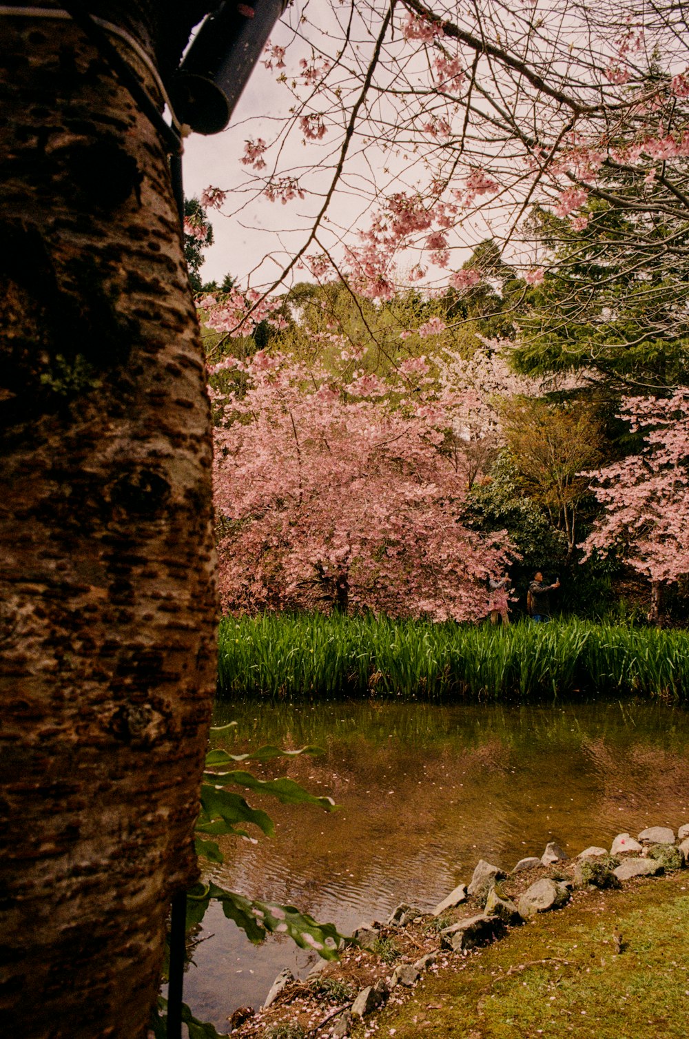 a park bench sitting next to a river