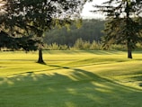A landscape featuring a lush, green lawn with rolling hills, flanked by tall trees casting long shadows in the golden afternoon light. In the background, a dense forest lines the horizon.