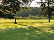A landscape featuring a lush, green lawn with rolling hills, flanked by tall trees casting long shadows in the golden afternoon light. In the background, a dense forest lines the horizon.