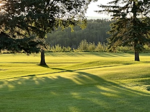 A landscape featuring a lush, green lawn with rolling hills, flanked by tall trees casting long shadows in the golden afternoon light. In the background, a dense forest lines the horizon.