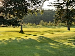 A landscape featuring a lush, green lawn with rolling hills, flanked by tall trees casting long shadows in the golden afternoon light. In the background, a dense forest lines the horizon.