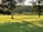 A landscape featuring a lush, green lawn with rolling hills, flanked by tall trees casting long shadows in the golden afternoon light. In the background, a dense forest lines the horizon.