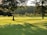 A landscape featuring a lush, green lawn with rolling hills, flanked by tall trees casting long shadows in the golden afternoon light. In the background, a dense forest lines the horizon.