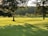 A landscape featuring a lush, green lawn with rolling hills, flanked by tall trees casting long shadows in the golden afternoon light. In the background, a dense forest lines the horizon.