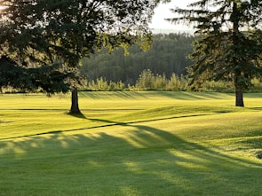 A landscape featuring a lush, green lawn with rolling hills, flanked by tall trees casting long shadows in the golden afternoon light. In the background, a dense forest lines the horizon.