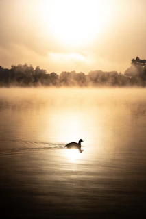 Sunrise over a misty marsh with a lone duck hunter in silhouette, boat ready at the water's edge.