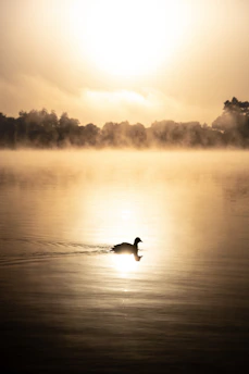 Sunrise over a misty marsh with a lone duck hunter in silhouette, boat ready at the water's edge.