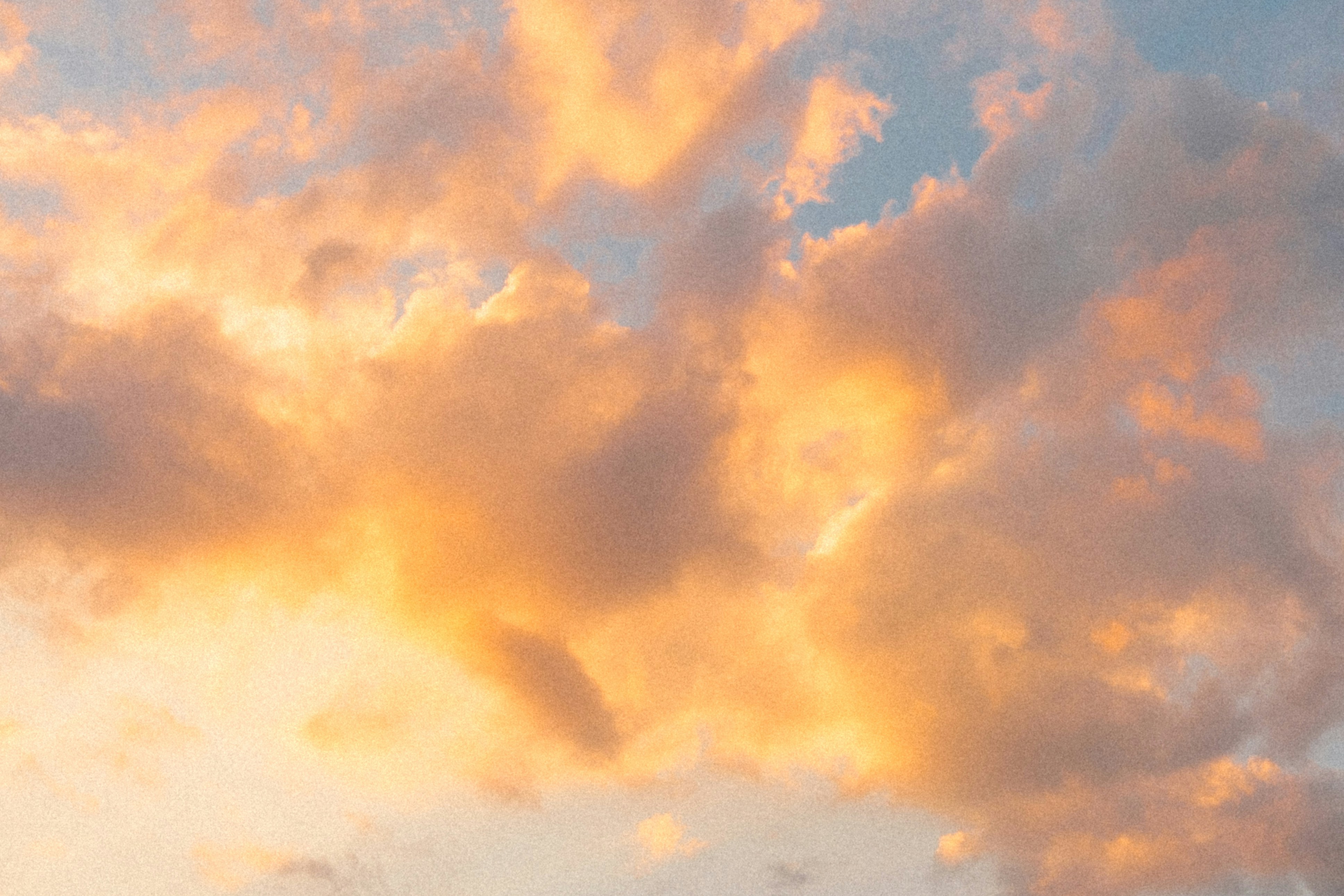 Photo by marsupialpudding