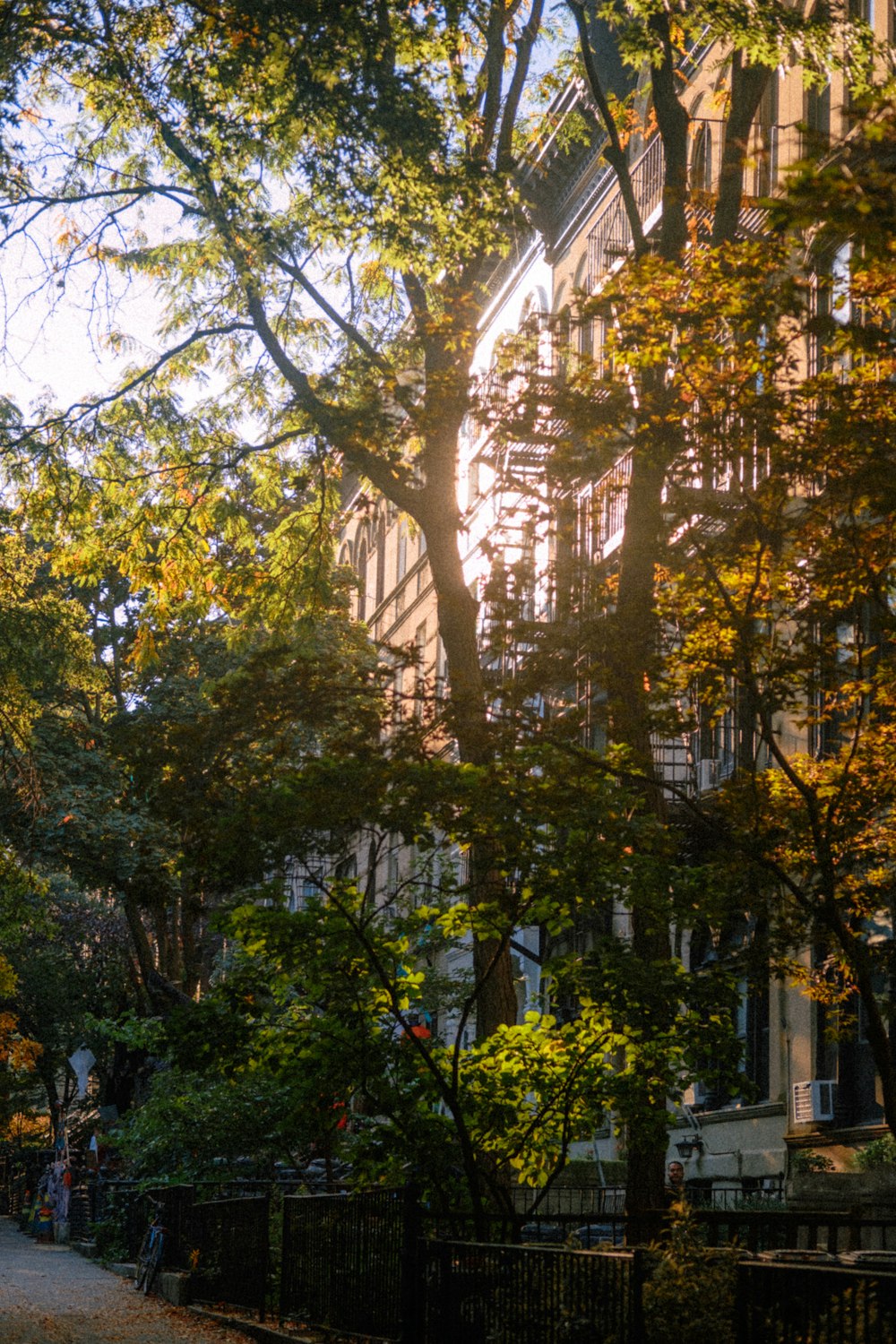 the sun is shining through the trees in the park