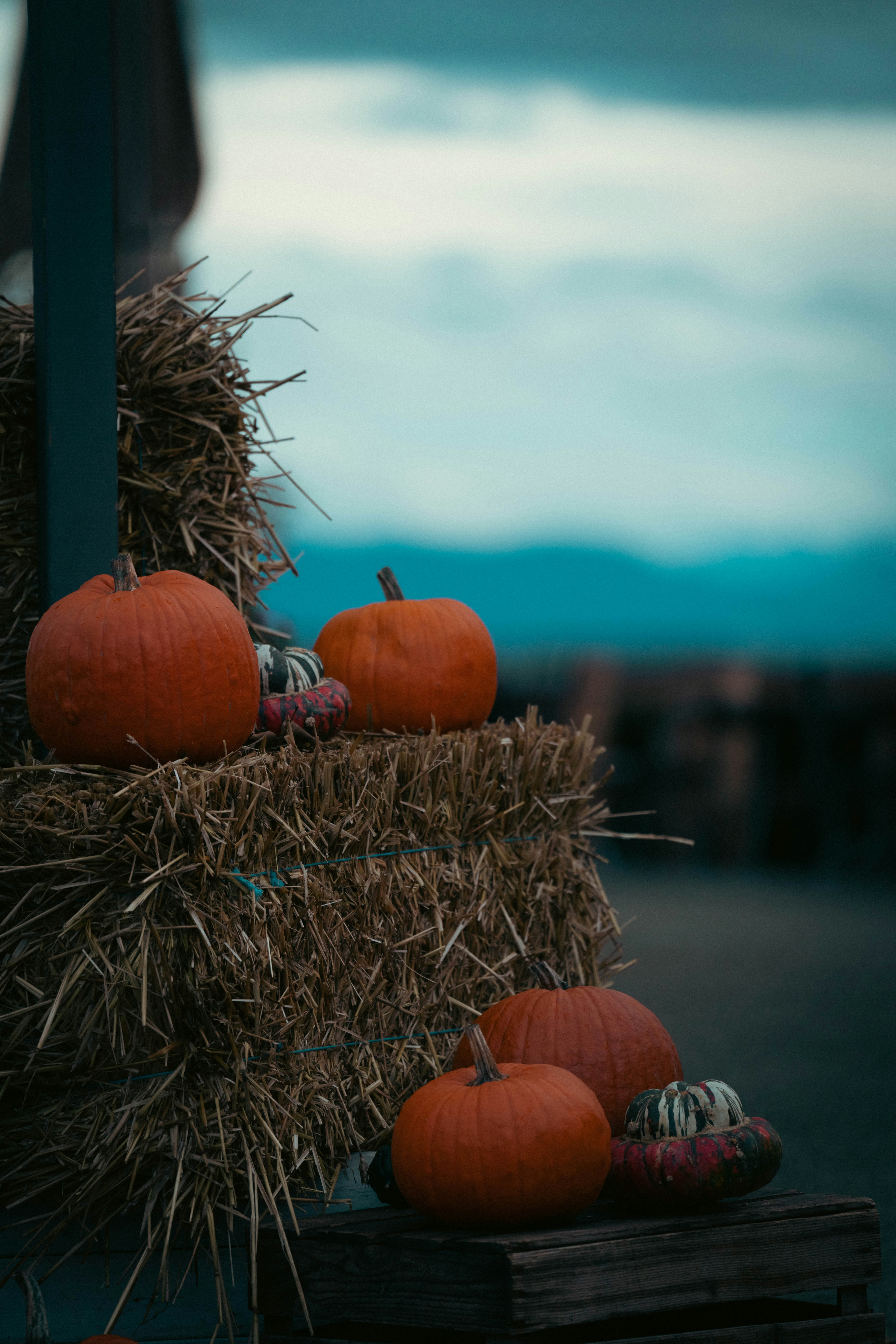 Photo by opohmelka
