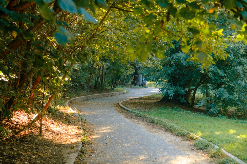a paved path in the middle of a wooded area