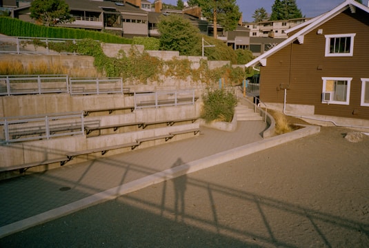 A terraced backyard featuring a well-built concrete retaining wall surrounded by pine trees.