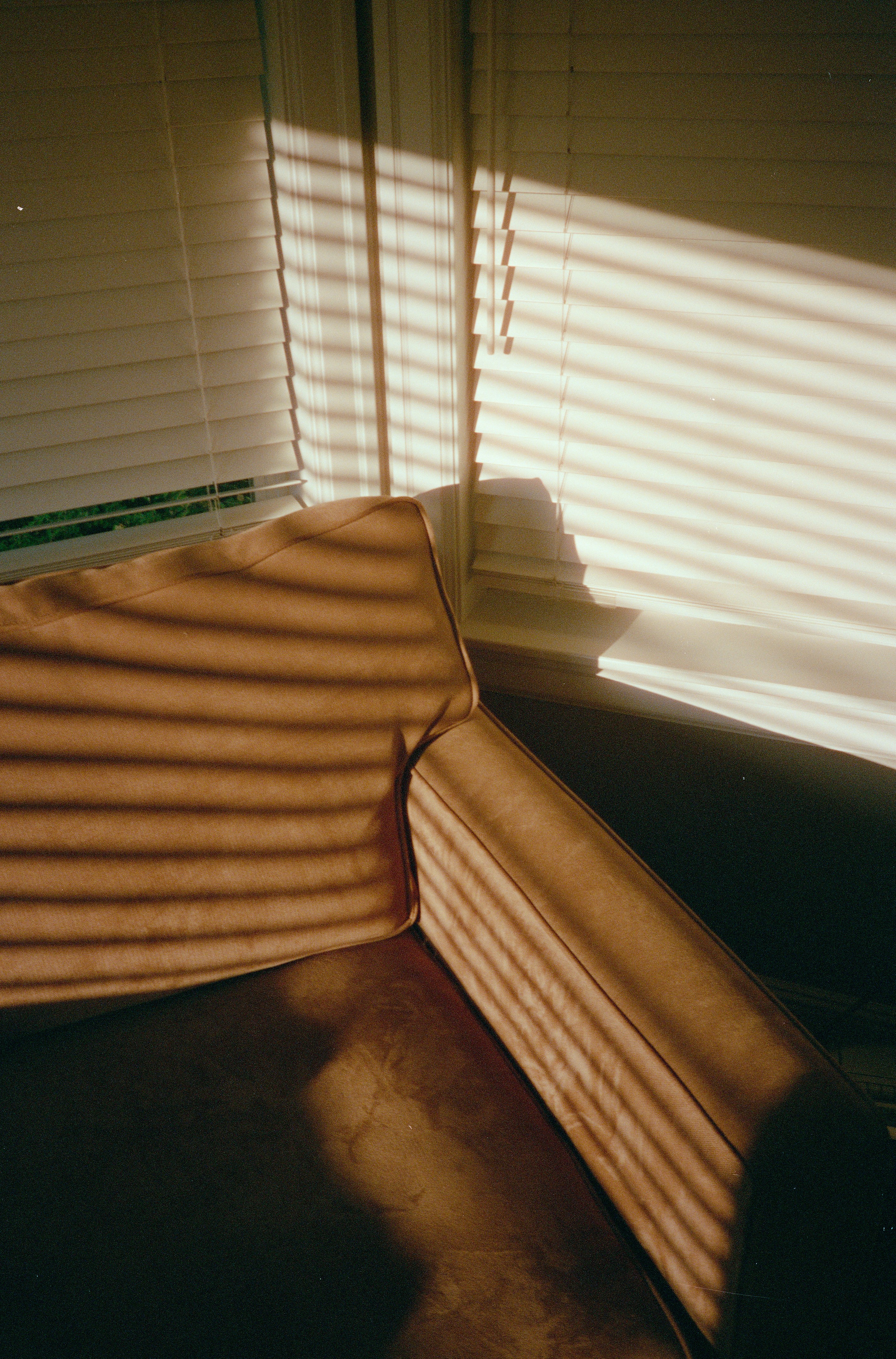 Photo by davidschultz