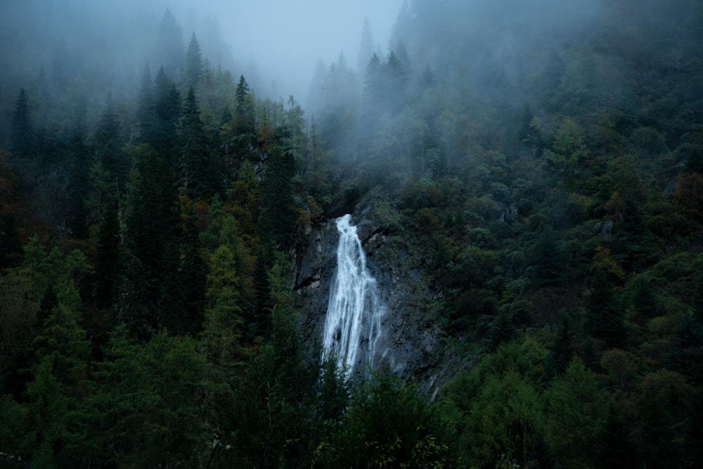 a waterfall in the middle of a forest