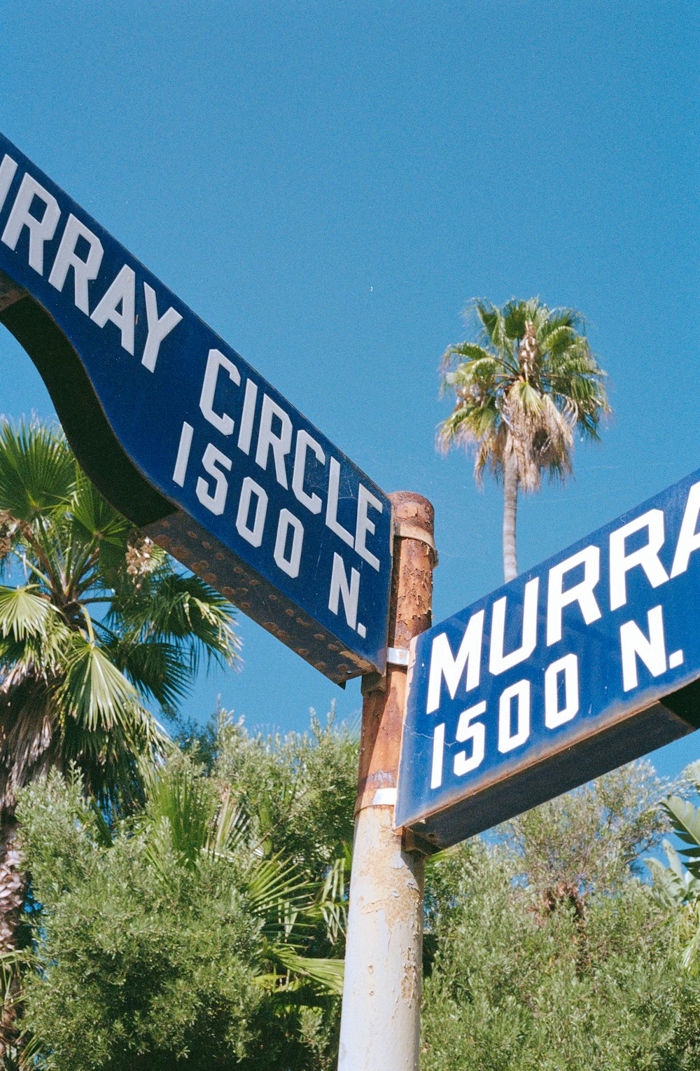 a street sign with a palm tree in the background