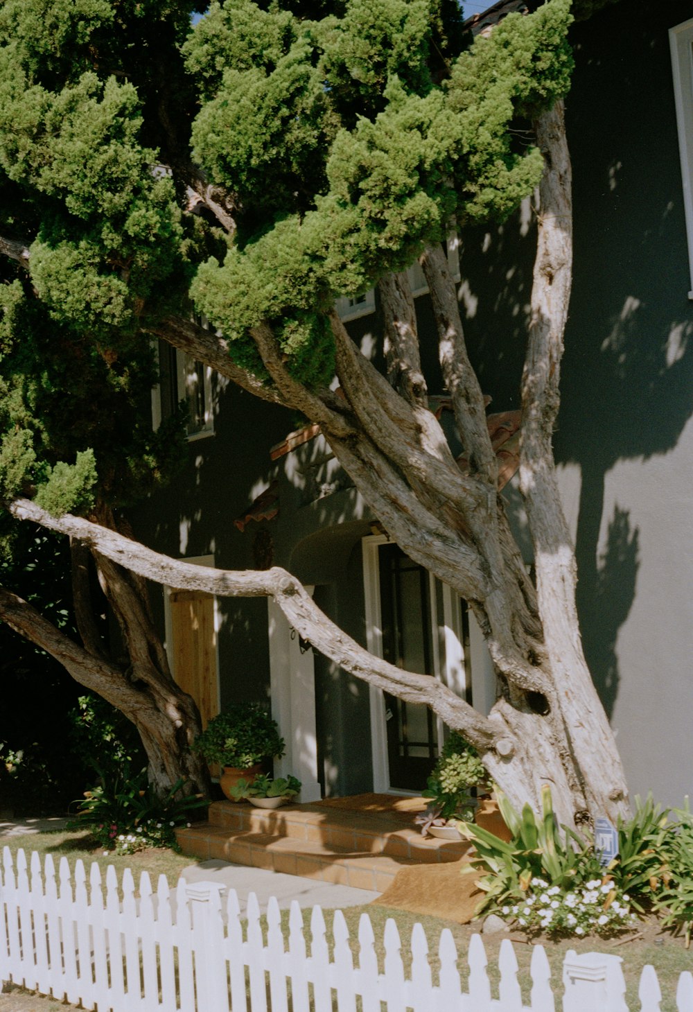 a white picket fence in front of a house