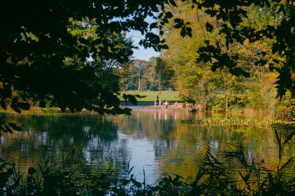 a body of water surrounded by trees and grass