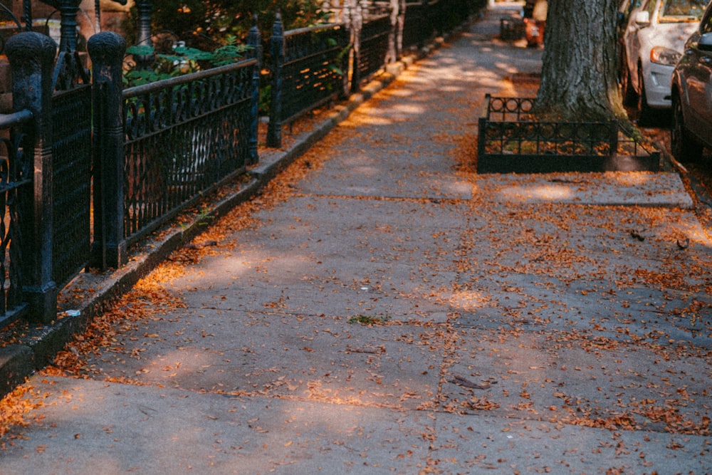 a sidewalk that has fallen leaves on it