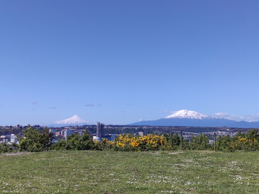 a view of a city with a mountain in the background