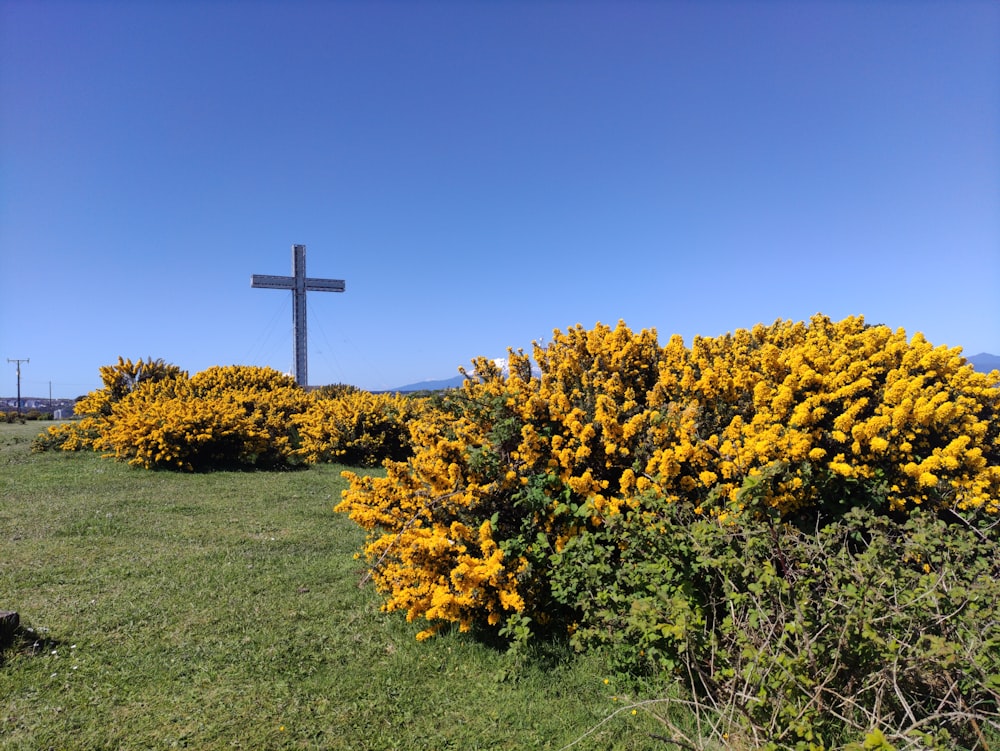 a cross is in the background of a field of flowers