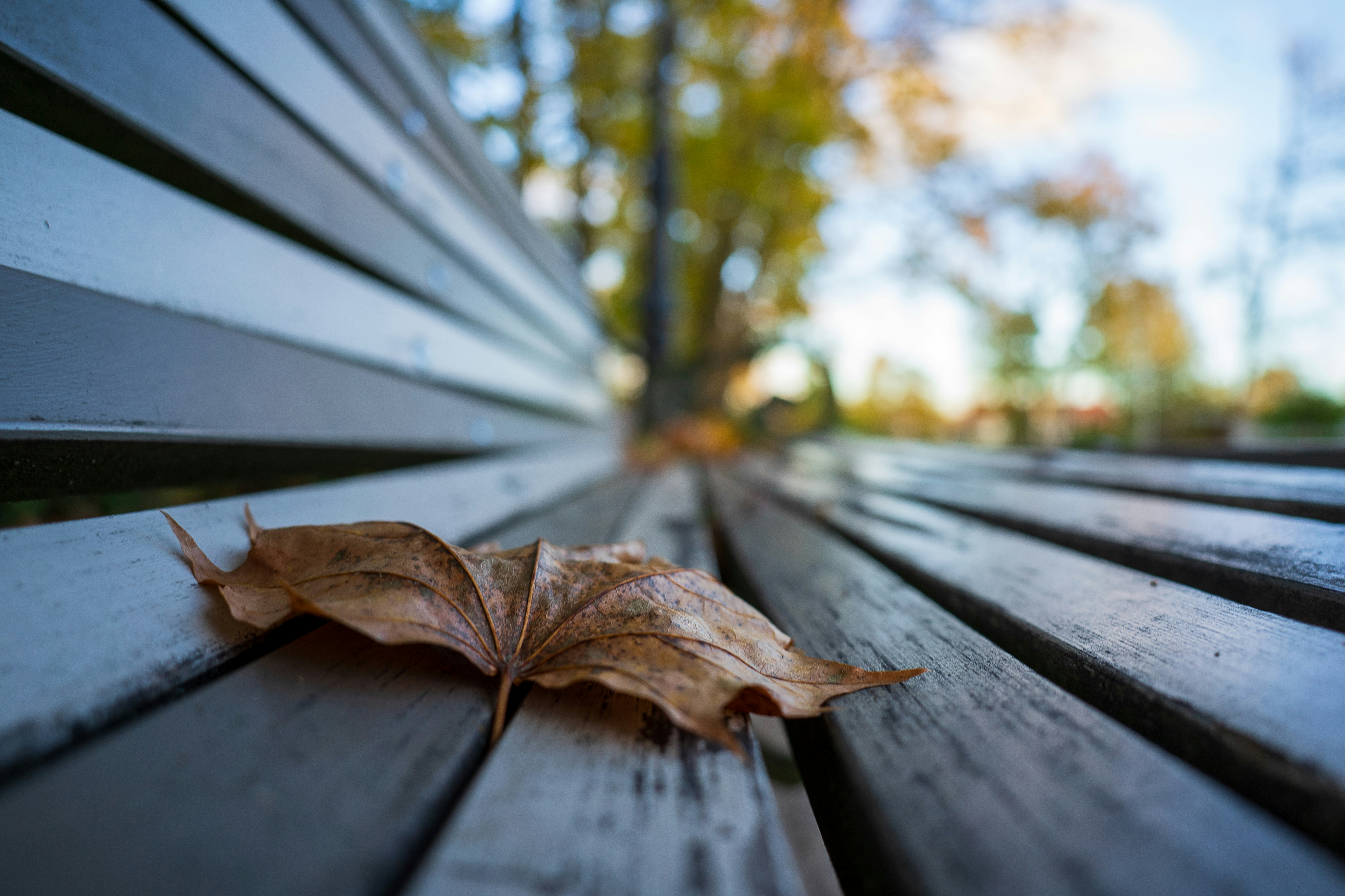 Photo by andruslukas