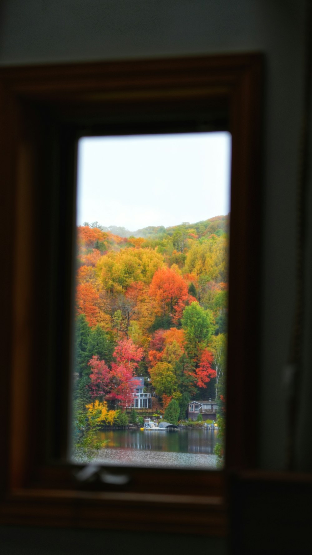 a window view of a colorful forest with a house in the background