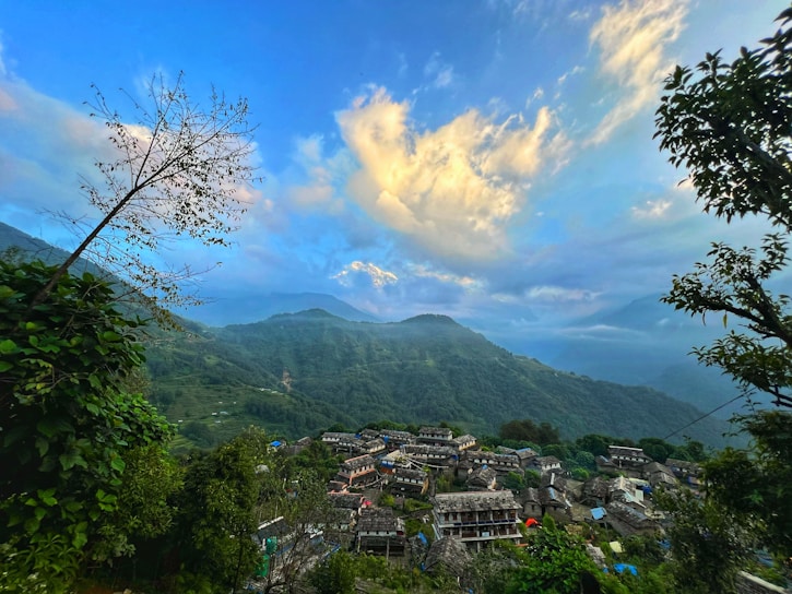 A scenic view of the village Mandragodhi surrounded by lush greenery.