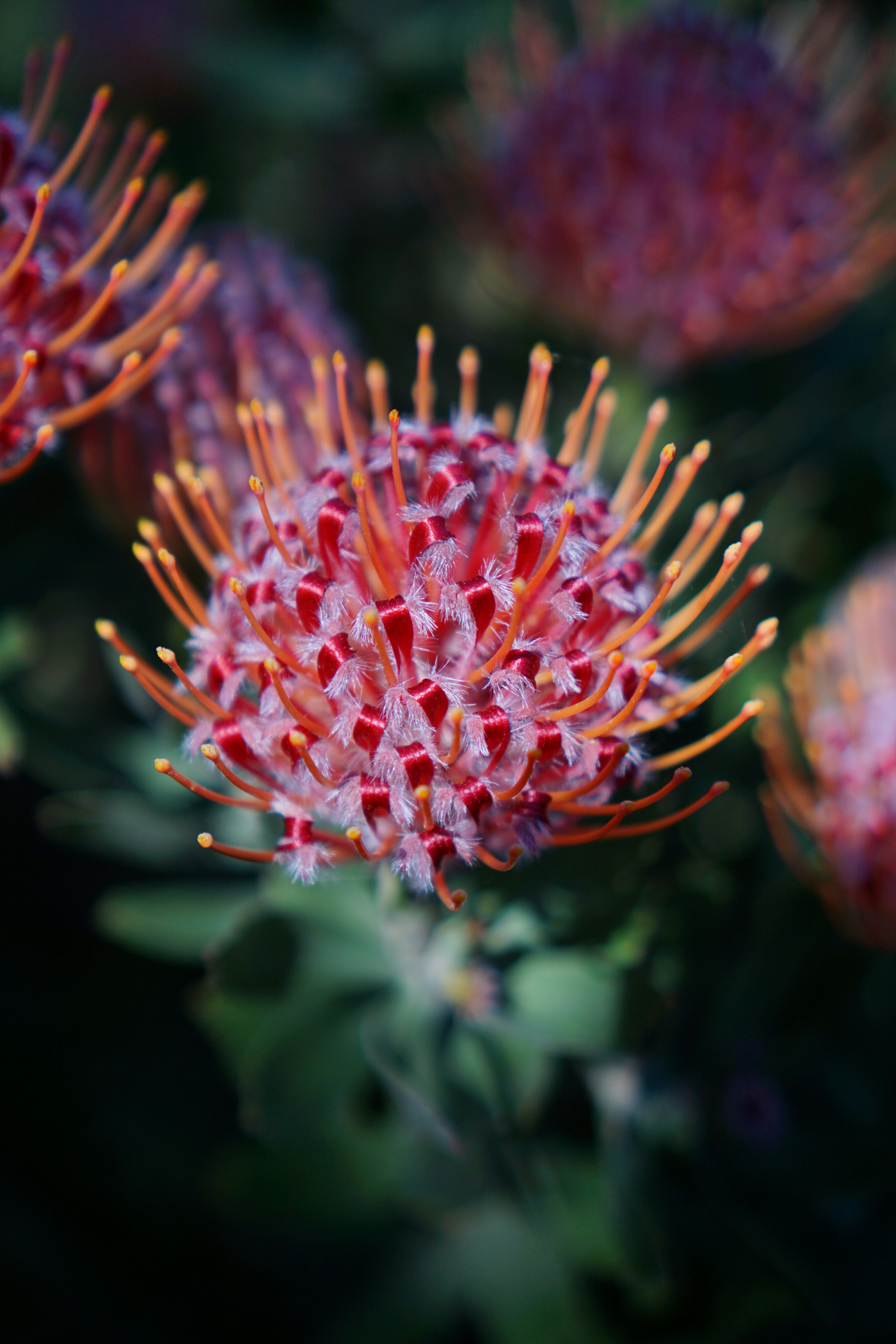 Photo by paolomandica_