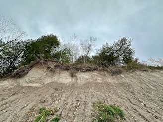 A steep, eroded hillside with exposed soil and scattered vegetation, while the top edge is lined with dense, leafy trees and some bare branches under a cloudy sky.