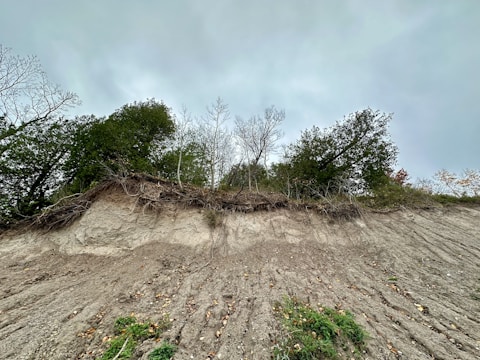 A steep, eroded hillside with exposed soil and scattered vegetation, while the top edge is lined with dense, leafy trees and some bare branches under a cloudy sky.