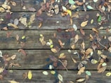 A wooden deck covered with scattered autumn leaves in various shades of brown, yellow, and green. The planks of the deck are weathered, adding texture to the scene, and the leaves are in different stages of decay.